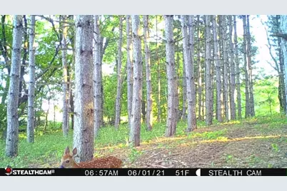 W2069 Elk Court, Montello, WI 53949 - Photo 53