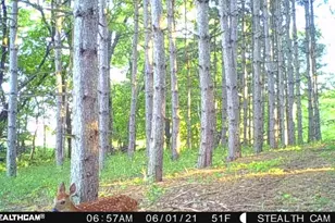 W2069 Elk Ct, Montello, WI 53949 - Photo 53