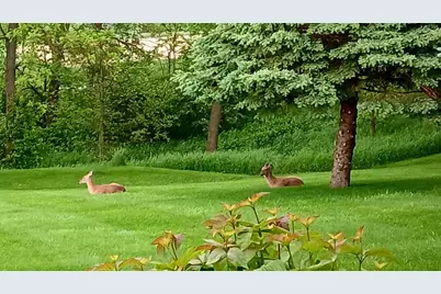 4700 Hazy Lane, Highland, WI 53543 - Photo 83