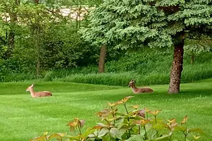 4700 Hazy Ln, Highland, WI 53543 - Photo 83