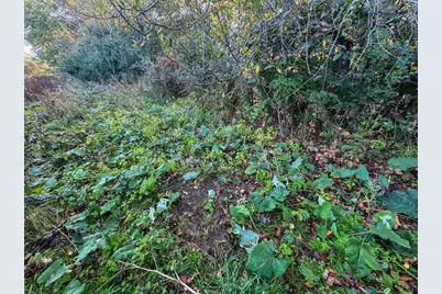 29000 Monarch Ave Avenue, Kendall, WI 54638 - Photo 81