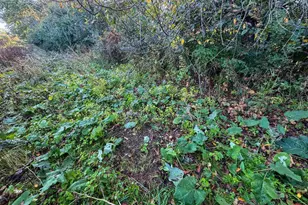 29000 Monarch Ave Ave, Kendall, WI 54638 - Photo 81