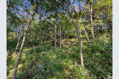 29000 Monarch Ave Avenue, Kendall, WI 54638 - Photo 73