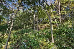 29000 Monarch Ave Ave, Kendall, WI 54638 - Photo 73