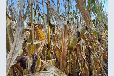 29000 Monarch Ave Avenue, Kendall, WI 54638 - Photo 83