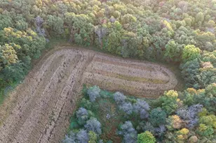 29000 Monarch Ave Ave, Kendall, WI 54638 - Photo 63