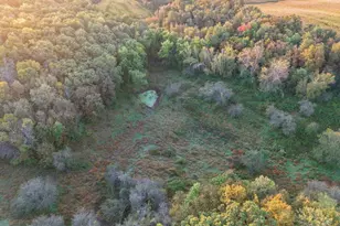 29000 Monarch Ave Ave, Kendall, WI 54638 - Photo 61