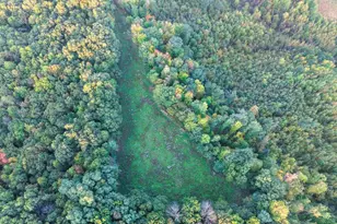 29000 Monarch Ave Ave, Kendall, WI 54638 - Photo 65