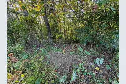 29000 Monarch Ave Avenue, Kendall, WI 54638 - Photo 79