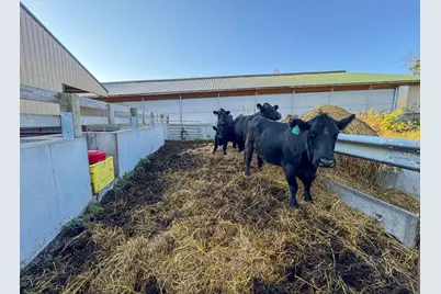 29000 Monarch Ave Avenue, Kendall, WI 54638 - Photo 49