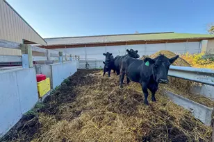 29000 Monarch Ave Ave, Kendall, WI 54638 - Photo 49