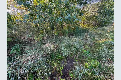 29000 Monarch Ave Avenue, Kendall, WI 54638 - Photo 77