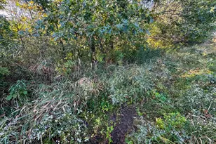 29000 Monarch Ave Ave, Kendall, WI 54638 - Photo 77