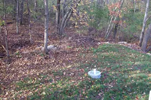 W4534 County Road E Rd, Pardeeville, WI 53954 - Photo 29