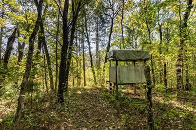 699 County Road J, Friendship, WI 53934 - Photo 39