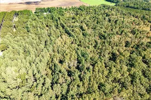 699 County Rd J, Friendship, WI 53934 - Photo 65