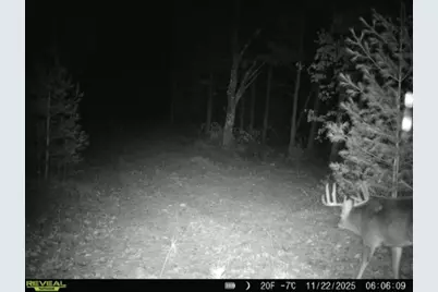 699 County Road J, Friendship, WI 53934 - Photo 7