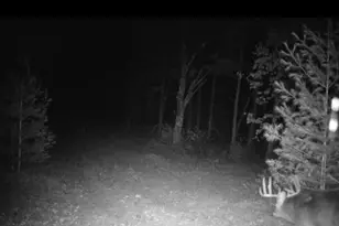 699 County Rd J, Friendship, WI 53934 - Photo 7