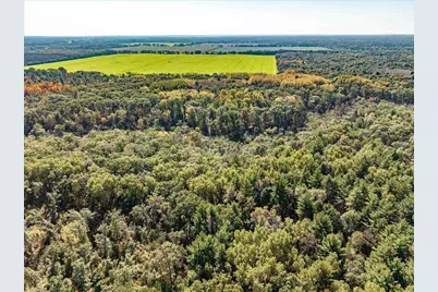 699 County Road J, Friendship, WI 53934 - Photo 55