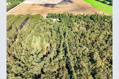 699 County Road J, Friendship, WI 53934 - Photo 63