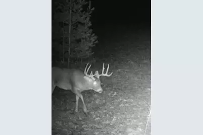 699 County Road J, Friendship, WI 53934 - Photo 3