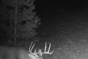 699 County Rd J, Friendship, WI 53934 - Photo 3