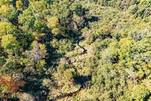 699 County Rd J, Friendship, WI 53934 - Photo 59