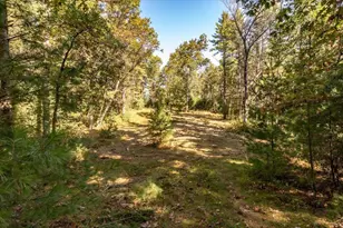 699 County Rd J, Friendship, WI 53934 - Photo 37