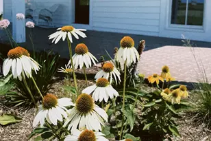 4029 Serenbe St, Middleton, WI 53562 - Photo 59