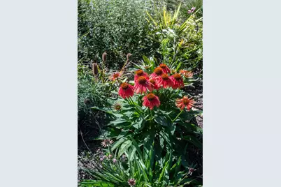 4043 Serenbe Street, Middleton, WI 53562 - Photo 57