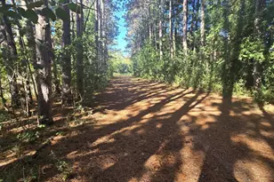 N5655 Co Rd T, Princeton, WI 54968 - Photo 31