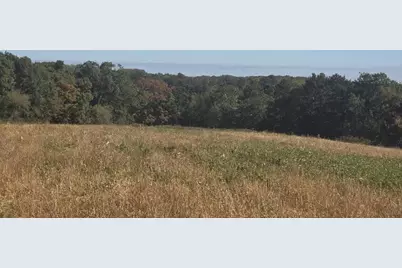 Mimosa Road, Wilton, WI 54670 - Photo 3