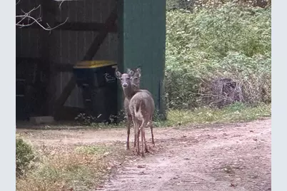 22495 County Hwy Dd Road, Richland Center, WI 53581 - Photo 39