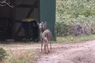 22495 County Hwy Dd Rd, Richland Center, WI 53581 - Photo 39