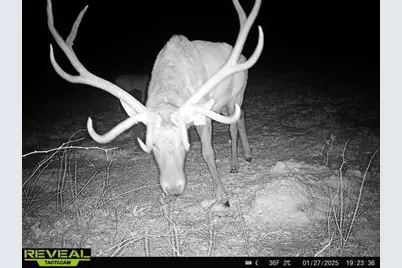 600 Oakwood Street, Warrens,warrens, WI 54666 - Photo 73