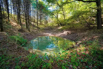 600 Oakwood Street, Warrens,warrens, WI 54666 - Photo 69