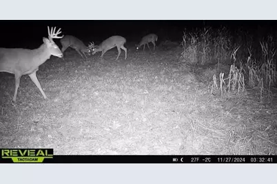 600 Oakwood Street, Warrens,warrens, WI 54666 - Photo 71