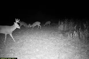 600 Oakwood St, Warrens,warrens, WI 54666 - Photo 71