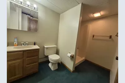 409 Kings Lynn Road, Stoughton, WI 53589 - Photo 53