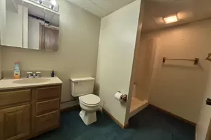 409 Kings Lynn Rd, Stoughton, WI 53589 - Photo 53