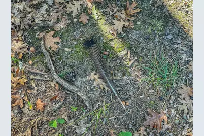 N14965 Pine Lane, Necedah, WI 54646 - Photo 69