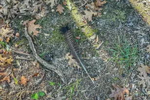 N14965 Pine Ln, Necedah, WI 54646 - Photo 69