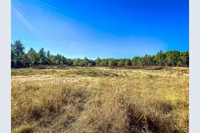 N14965 Pine Lane, Necedah, WI 54646 - Photo 43