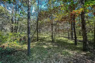 N14965 Pine Ln, Necedah, WI 54646 - Photo 67