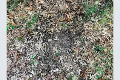 N14965 Pine Lane, Necedah, WI 54646 - Photo 63