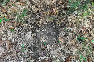 N14965 Pine Ln, Necedah, WI 54646 - Photo 63