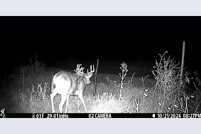 N14965 Pine Lane, Necedah, WI 54646 - Photo 57