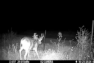 N14965 Pine Ln, Necedah, WI 54646 - Photo 57