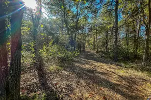 N14965 Pine Ln, Necedah, WI 54646 - Photo 65