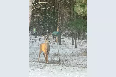 N14965 Pine Lane, Necedah, WI 54646 - Photo 3